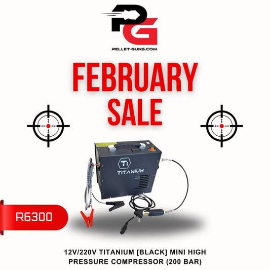 FEBRUARY SALE - 12V / 220V Titanium [Black] Mini High