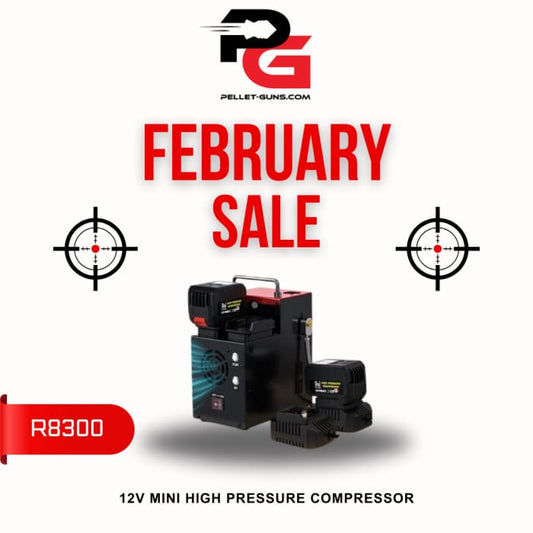 FEBRUARY SALE - 12V Mini High Pressure Compressor